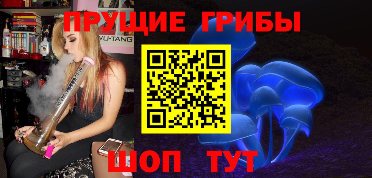 купить закладку  Галлюциногенные грибы Magic Shrooms  Вход с VPN  Алатырь 