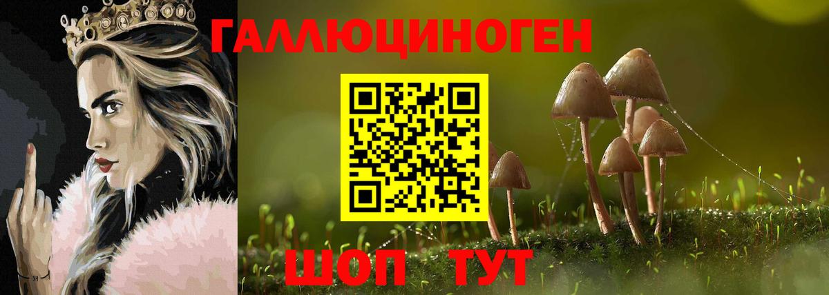 Галлюциногенные грибы прущие грибы Алатырь